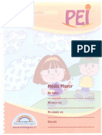 -Pei-Medio-Mayor-1-2.pdf
