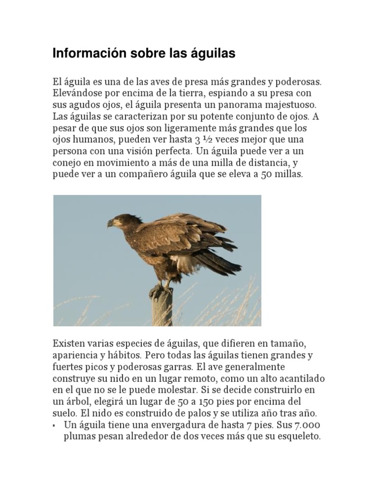Aguila | PDF | Aves | Aves de presa