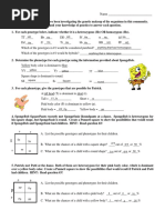 Nicolle Leite Lujan de Andrade - Spongebob Genetics 1