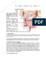 Enfermedades Del Aparato Digestivo Que Alteran La Nutrición