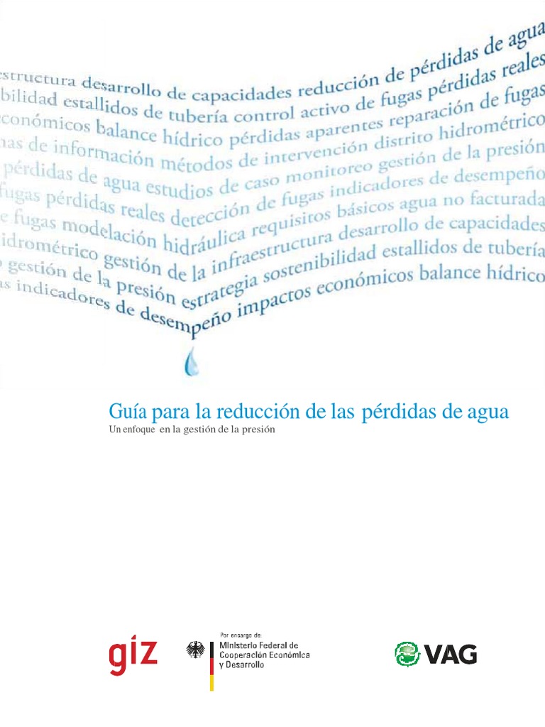 Guia para La Reduccion de Las Perdidas de Agua | PDF | Sistema de ...