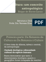 4 Cultura um conceito antropológico.pdf