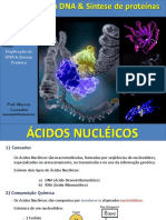 DNA e Síntese de Proteínas