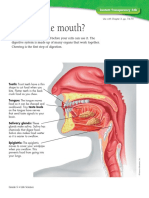 003B.pdf