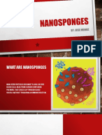 Nanosponge
