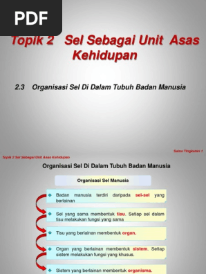 2 3 Organisasi Sel Di Dalam Tubuh Badan Manusia Pdf