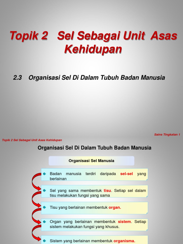 2 3 Organisasi Sel Di Dalam Tubuh Badan Manusia Pdf