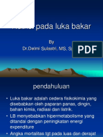 Nutrisi Pada Luka Bakar