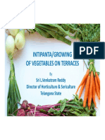 Growing Vegetables on Terraces: A Guide