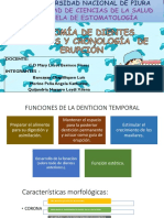 Anatomia de Los Dientes y Cronología de Erupción Original