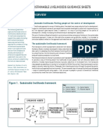 DFID section1.pdf