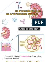 Mecanismos Inmunológicos de Las Enfermedades Renales