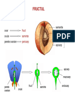 Lp16 Semi PDF