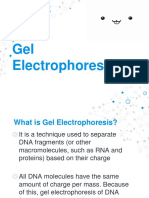 Gel Electrophoresis: By: Group 4