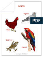 Names_of_Birds_Picture_Book.pdf