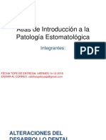 Atlas de Introducción A La Patología Estomatológica