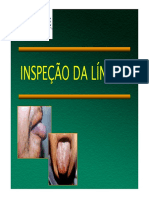 Inspeção da lingua.pdf