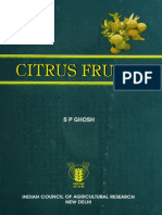 Citrus Fruits PDF