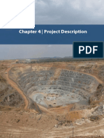 Project Description For Gold Mine