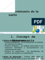 CH3 Déterminants de La Santé