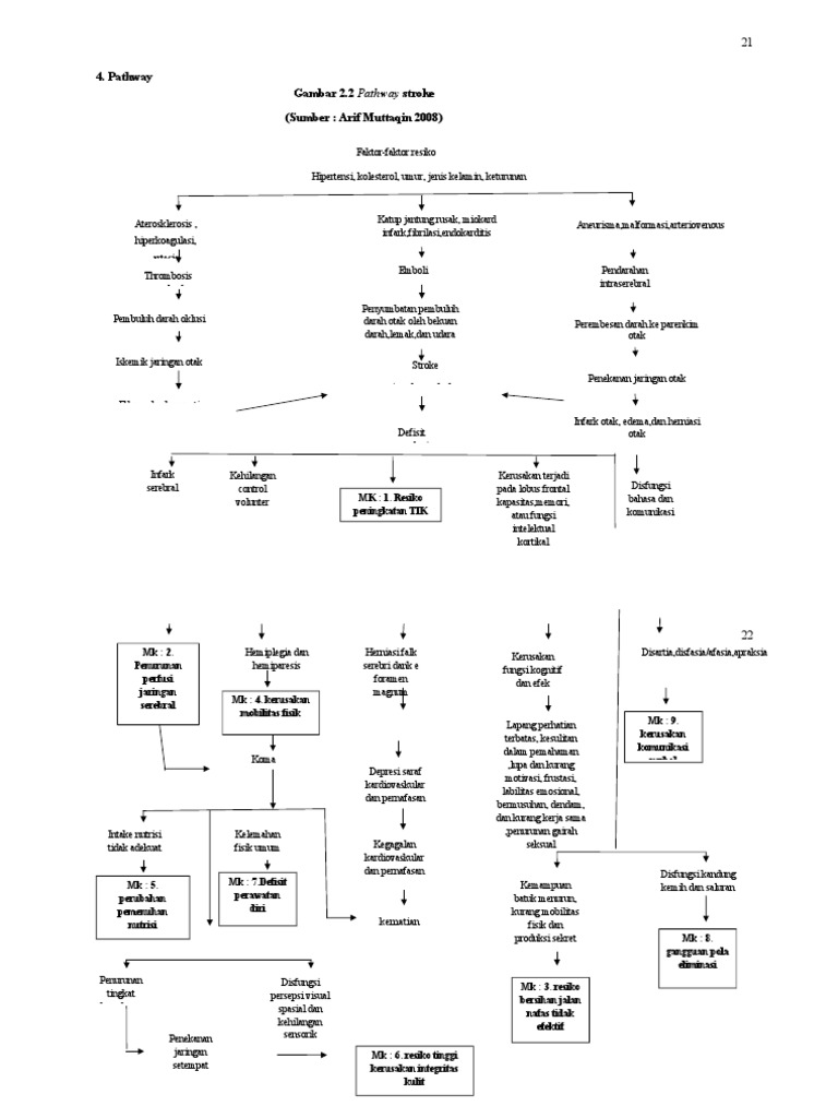 Jalur Stroke Hemoragik dan Iskemik | PDF