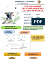 DISPO-QUE-PODRIA-SER-LAS-FINAL.pptx