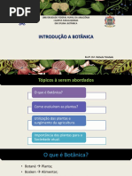 1. Introdução a Botânica