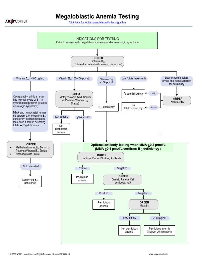 Megaloblastic Anemia Testing Algorithm PDF | PDF | Vitamin B12 | Anemia