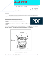 Apuntes de Cirugía-Secc11.pdf