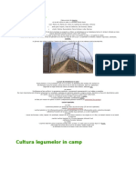 Cultura-Legumelor-in-Solarii.pdf