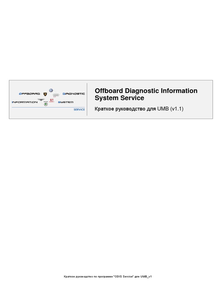 ODIS Service RU (Setup) Quick Guide PDF | PDF