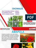 PLANTAS MEDICINALES