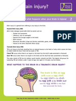 2_What_is_Brain_Injury.pdf