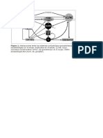 8. imagen_mensajeros_quimicos_y_stress.pdf