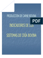 Producción carne bovina