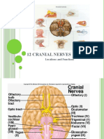 12 Cranial Nerves: Locations and Functions