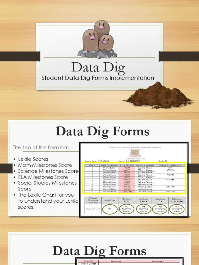 Student Data Dig Forms Overview | PDF