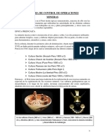 CONTROL DE OPERACIONES MINERAS EN EL PERU.docx