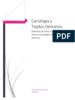 TEJIDOS DENTARIOS 2.docx