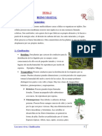244647138-reino-vegetal-pdf.pdf