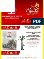 programa campamentos juveniles valle del cauca-insignias