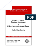 Algebra multilineal.pdf