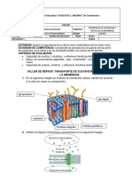 Taller Evaluativo de Intercambio de Sustancias