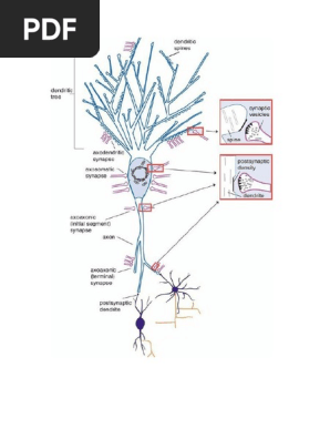 costo de eszopiclone