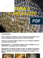 TEMA 6.2. Bryozoa
