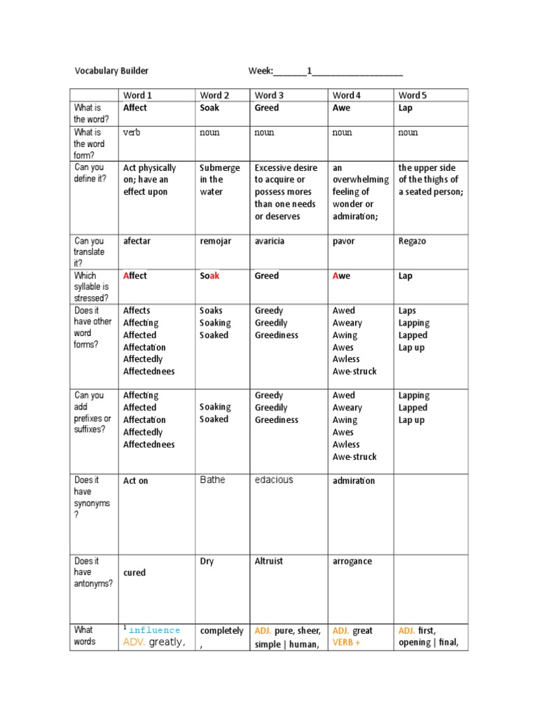 Vocabulary Builder PDF Morphology Linguistics