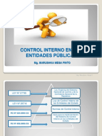 Sistema_Nacional_de_Control-Control_Interno.pdf