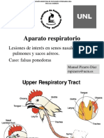 Aparato Respiratorio y Falsas Ponedoras PDF