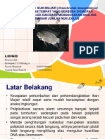 Kajian Poliploidi Ikan Mujair (Oreochromis Mossambicus).Ppt