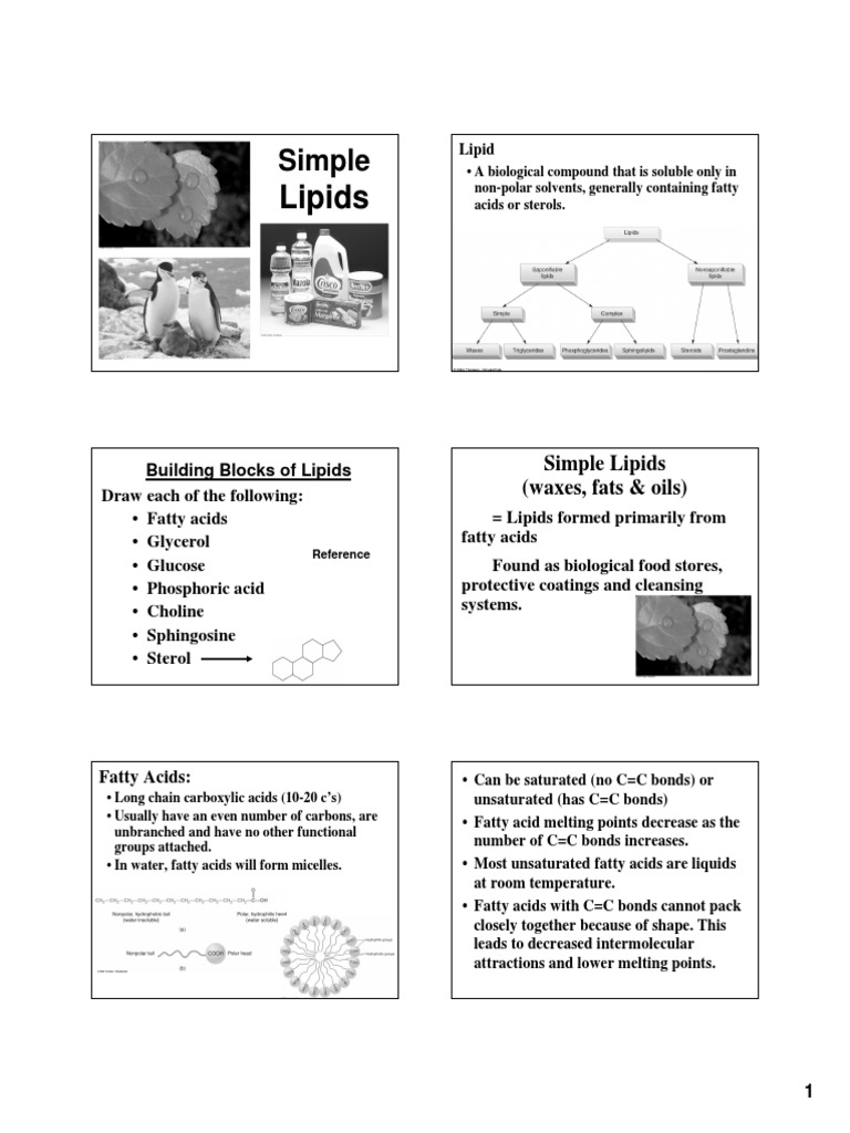 Lipid Sedrhana Fat Fatty Acid